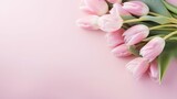 Fototapeta Tulipany - A bouquet of pink tulips on a colored table background