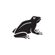 frog icon symbol sign vector