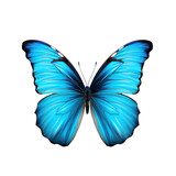 Fototapeta Motyle - Blue butterfly isolated on transparent background,transparency 