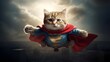 A Super Cat New hero has born