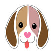 Beagle dog head ,smiling face  png illustration,transparent background.