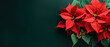 minimalistic background with poinsettia Christmas star, top view with empty copy space