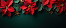 Minimalistic Background With Poinsettia Christmas Star, Top View With Empty Copy Space
