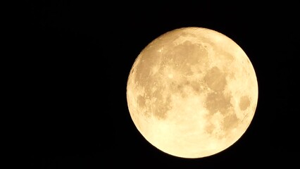 Wall Mural - A glowing golden huge full moon seen from earth through the atmosphere against a starry night sky. A large full moon moves across the sky, the moon moving from the left frame to the right.