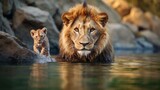 Fototapeta  - Lion and cub looking at his reflection in the water, against the background of mountains.