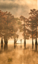 View Of A Person With A Paddle Board Among Trees In Autumn Colours And Mist Along Cupressus Lake, Sukko Village, Krasnodar Krai Province, Russia.