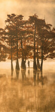 View Of A Person With A Paddle Board Among Trees In Autumn Colours And Mist Along Cupressus Lake, Sukko Village, Krasnodar Krai Province, Russia.