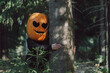 © Westend61 - Woman wearing Jack O' Lantern and hugging tree in forest