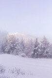 Fototapeta Natura - Bansko, Bulgaria resort panorama with snow cannon