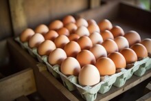 Close-up Of Organic Eggs In Carton At A Farm