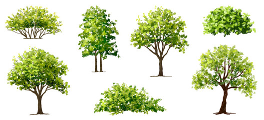 Wall Mural - vector watercolor green tree or forest side view isolated on white background for landscape and arch