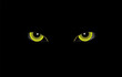 © ralelav - Scary eyes background for Halloween or Day of the dead yellow color