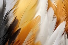 Elegant White And Brown Feathers Against Black Backdrop Delicate Yellow Feather Texture On White And Yellow Pattern Feather Themed Backdrop With Golden Fea