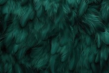 Vintage Background With A Beautiful Dark Green Feather Texture