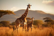 Giraf mom with baby wildlife animal in africa with savanna background