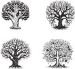 leafless tree vector halloween concept silhouette isolated on white background 