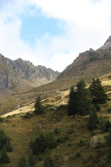 Poster - Cheval & brebis - Pyrénées