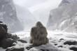 Meditating yeti, melancholic because of snow melting in the Himalayas. Global warming concept.