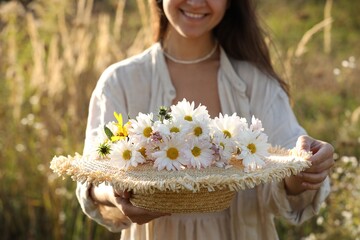 Wall Mural - Woman holding straw hat with beautiful wild flowers outdoors, closeup