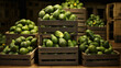 Crates of delicious and nutritious avocados, captured up close, perfect for guacamole enthusiasts. 