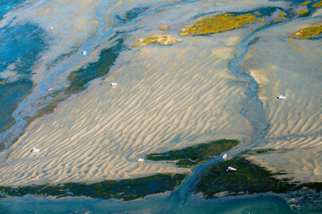 Wall Mural - vue aérienne de l'île aux oiseaux et des cabanes tchankés dans le Bassin d'Arcachon en France