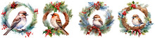 Bird Sitting On Wreath On White Background, Christmas Or New Year Concept
