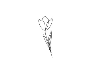 Continuous one line drawing of tulip flower. single line flower vector illustration.