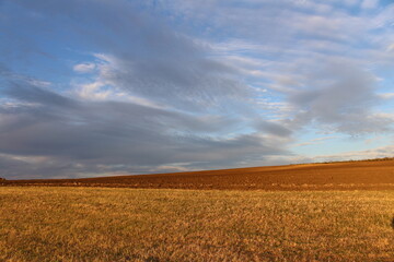 A field of brown grass and blue sky