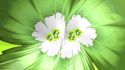 Wall Mural - abstract flower pattern fractal texture flowing on white. modern loop able animation