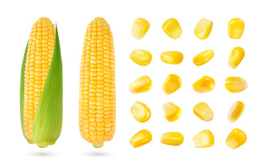 Wall Mural - Realistic corn cob and grain seeds. Isolated 3d vector yellow, ripe, raw maize corncob with green leaves. Nutritious cylindrical core of farm plant, filled with rows of sweet and juicy kernels