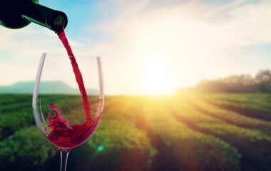 Canvas Print - Pouring tasty alcohol red wine in glass