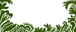 © Artistic Memory - Cornice decorativa botanica floreale ornamentale. Sfondo banner Natale festivo. Foglie foresta