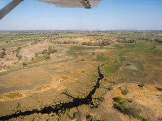 Canvas Print - Botswana