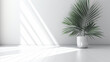 Fond composé d'un mur blanc, avec lumière et ombre et plante décorative. Ambiance calme, épurée, luxe. Arrière-plan pour conception et création graphique.