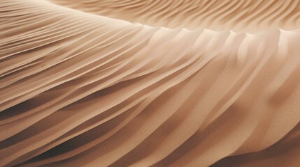  a close up of a desert