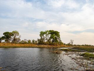 Wall Mural - Botswana