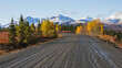 Scenic Autumn View from road n Denali National Park