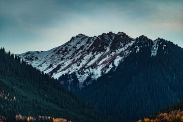 Sticker - Twilight landscape with snowy mountain peaks and forest