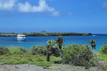 Poster - Coastline of South Plaza Island with North Plaza Island in the distance, Galapagos National Park, Ecuador.