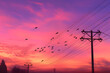 Birds perched on power lines silhouetted against a radiant sky painted in shades of pink purple and gold.