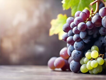 Horizontal Blur Wallpaper With Group Of Grapes. Detailed Image Violet Grape.