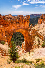 Wall Mural - Natural Bridge viewpoint, Bryce Canyon National Park, Utah