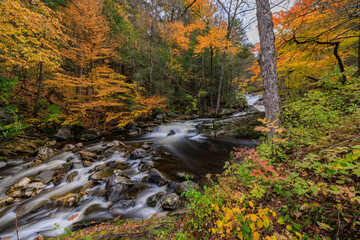 Wall Mural - Kent Falls