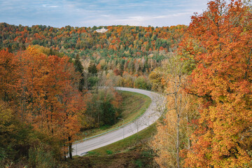 Wall Mural - road in autumn