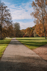 Wall Mural - road in the park