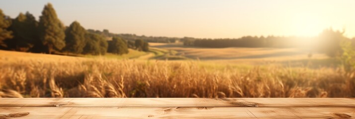 Canvas Print - A blank wooden board in the background of a field