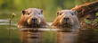 beavers in the water. AI generated