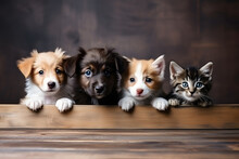 Banner Of Puppies And Kittens In Row, Hanging Its Paws At Wooden Banner
