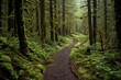 A trail through an ancient forest in Oregon. Generative AI