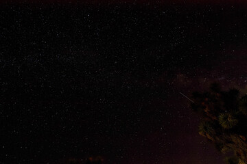 joshua tree national park starry night sky